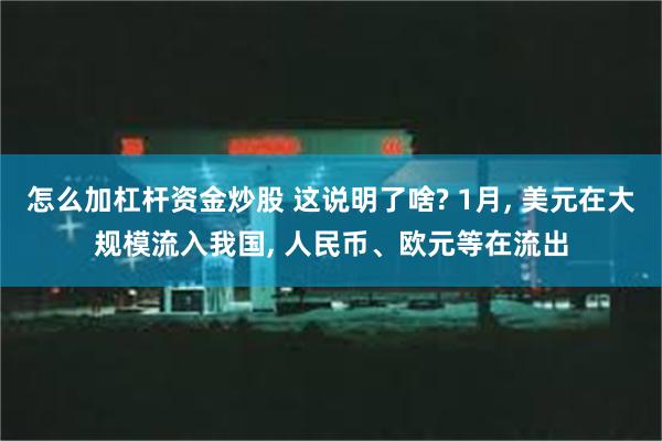 怎么加杠杆资金炒股 这说明了啥? 1月, 美元在大规模流入我国, 人民币、欧元等在流出