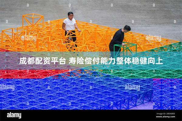成都配资平台 寿险偿付能力整体稳健向上