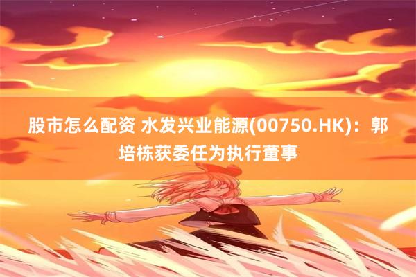 股市怎么配资 水发兴业能源(00750.HK):郭培栋获委任为执行董事