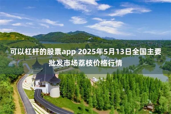 可以杠杆的股票app 2025年5月13日全国主要批发市场荔枝价格行情