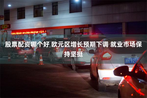 股票配资哪个好 欧元区增长预期下调 就业市场保持坚挺