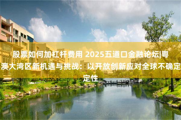 股票如何加杠杆费用 2025五道口金融论坛|粤港澳大湾区新机遇与挑战：以开放创新应对全球不确定性