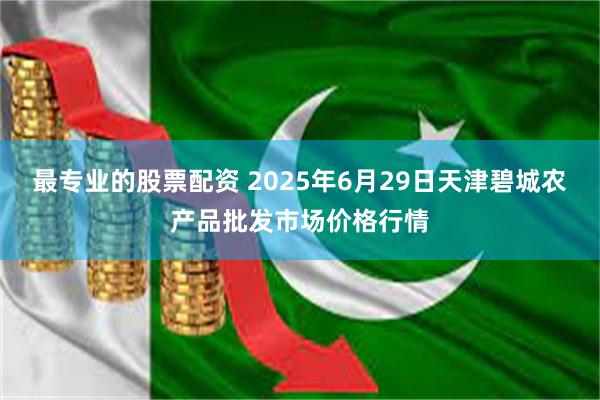 最专业的股票配资 2025年6月29日天津碧城农产品批发市场价格行情