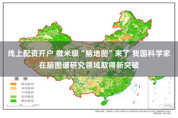 线上配资开户 微米级“脑地图”来了 我国科学家在脑图谱研究领域取得新突破